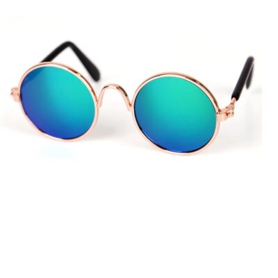 Декоративни очила за малко куче