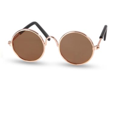 Очила за жива котка